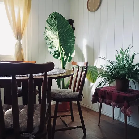 Felhofeszek Vendeghaz Holiday home *