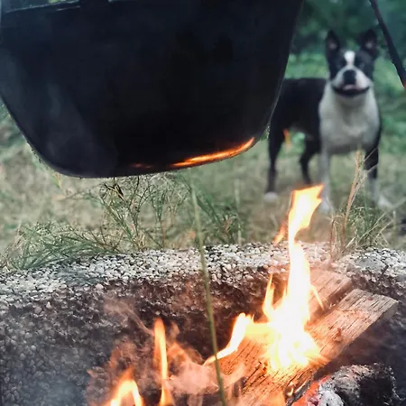 Casa vacanze Felhőfészek *