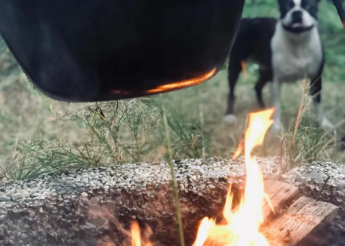 Дом отдыха Felhofeszek Vendeghaz *